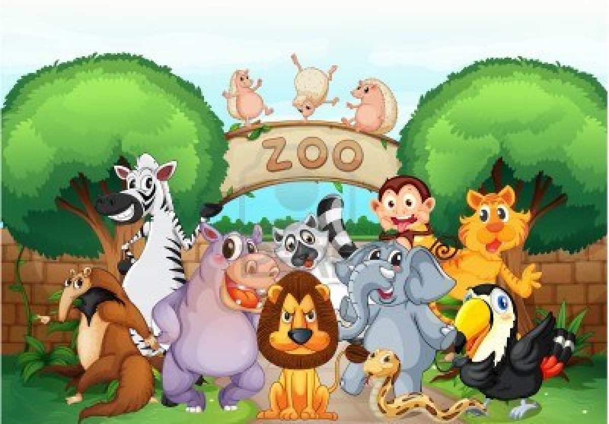 Zoo Meaning and Definition